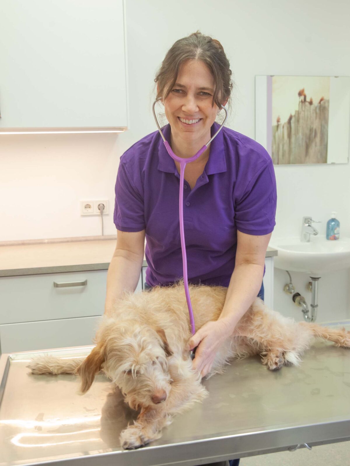 Dr Nina Zeiss, Tierarztpraxis, Dr. Nina Zeiss, Lindenfels