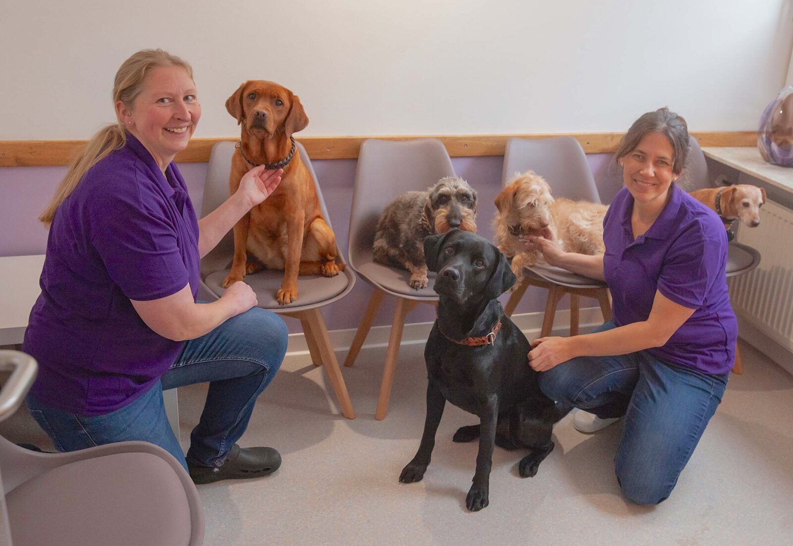 Ina Joswig und Dr Nina Zeiss, Tierarztpraxis, Dr. Nina Zeiss, Lindenfels